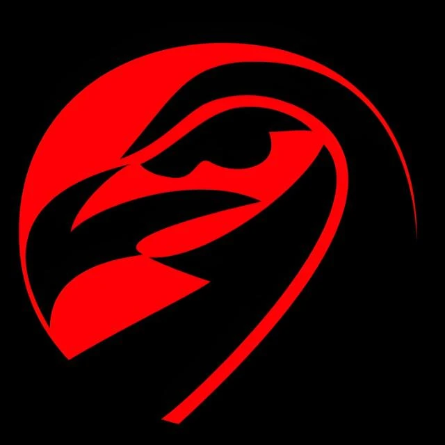 Imagem do Grupo de Whatsapp 𝗖𝗼𝗹𝘂𝗻𝗮 𝗱𝗼 𝗙𝗹𝗮 | 𝗙𝗹𝗮𝗺𝗲𝗻𝗴𝗼 ❤️🖤