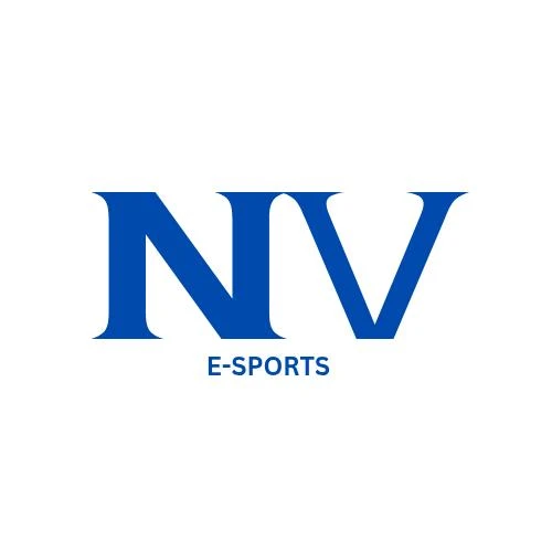 Imagem do Grupo de Whatsapp Recrutamento NV E-SPORTS