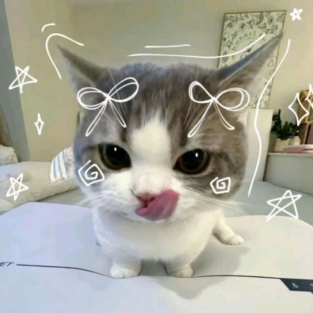Imagem do Grupo de Whatsapp !¡•°˚ 𝑚𝑒 ~ ᴄᴏʀᴇ ˚*•̩̩͙✩ ☕' | WhatsApp Channel