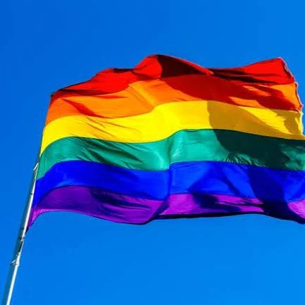 Imagem do Grupo de Whatsapp Amizade lgbt 🌈