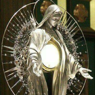 Imagem do Grupo de Whatsapp Comunidade Católica Luz da Fé