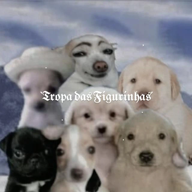 Imagem do Grupo de Whatsapp ´ཀ`𝕿𝖗𝖔𝖕𝖆 𝖉𝖆𝖘 𝕱𝖎𝖌𝖚𝖗𝖎𝖓𝖍𝖆𝖘´ཀ`