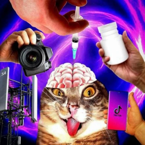 Imagem do Grupo de Whatsapp ࿔✰₊⊹𝕯𝒐𝒆𝒏𝒕𝒐𝒍𝒂̂𝒏𝒅𝒊𝒂⋆⁺₊✧