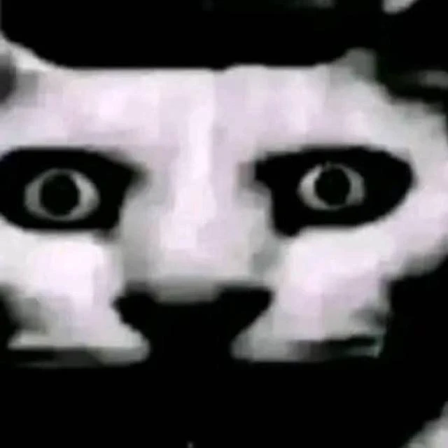 Imagem do Grupo de Whatsapp Hospício virtual