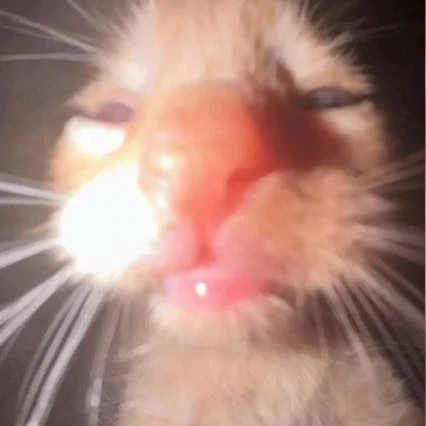 Imagem do Grupo de Whatsapp Zona proibida.❤️‍🔥