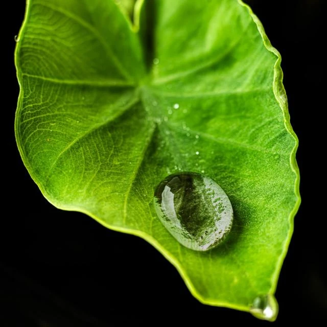 Imagem do Grupo de Whatsapp (Triagem) AntiSocial Club [Teologia]