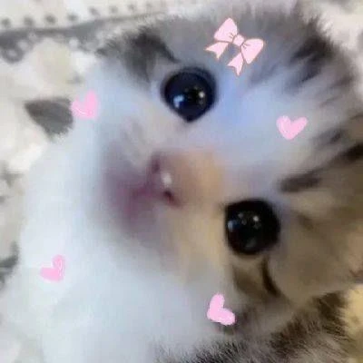 Imagem do Grupo de Whatsapp ★𝑺𝒐𝒖𝒍 ¡ 𝑺𝒊𝒔𝒕𝒆𝒓𝒔★