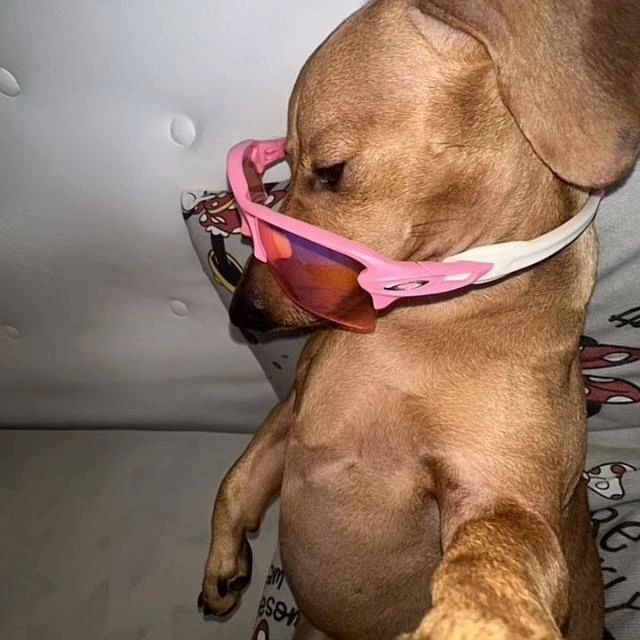 Imagem do Grupo de Whatsapp 💯 condições