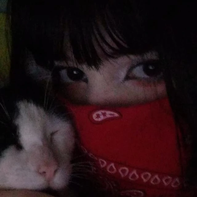 Imagem do Grupo de Whatsapp ꧁ᴍɪᴅɴɪɢʜᴛ ᴄᴇɴᴛᴇʀ꧂