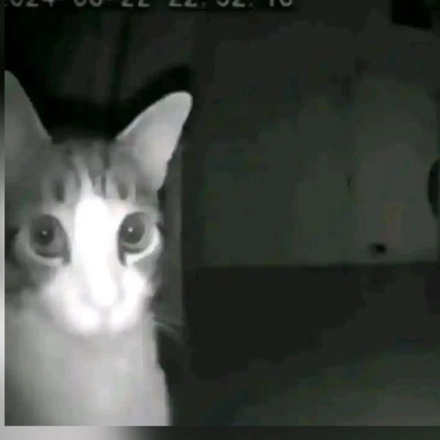 Imagem do Grupo de Whatsapp Surto coletivo