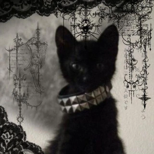 Imagem do Grupo de Whatsapp 𝓡𝓮𝓼𝓮𝓷𝓱𝓪𝓛𝓪𝓫🎶💣