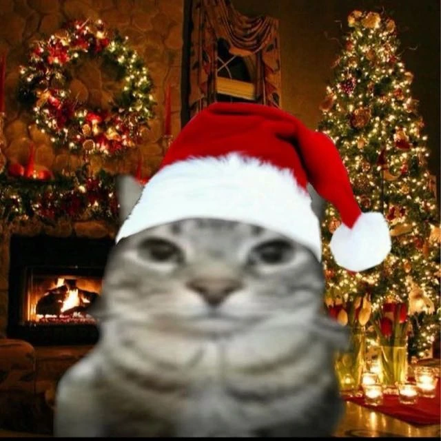 Imagem do Grupo de Whatsapp ༺★. ͦ ◤𝙃𝙤𝙨𝙥í𝙘𝙞𝙤 𝙎𝙩𝙖𝙣𝙡𝙚𝙮 ◥ ͦ .★༻